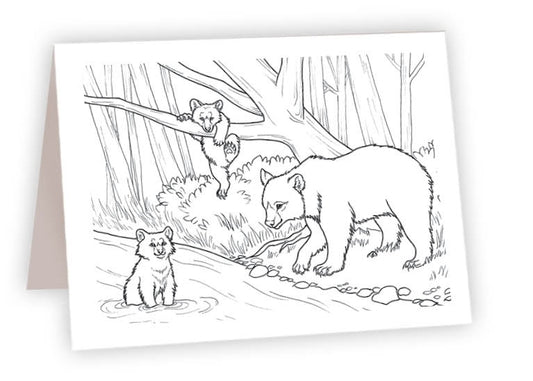 CCR01 - Bears by River