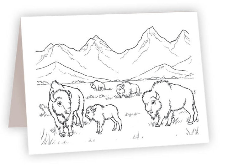 CCR05 - Bison Herd
