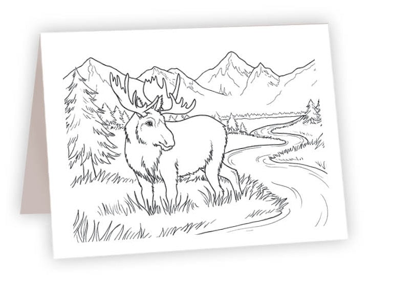 CCR15 - Moose in grass