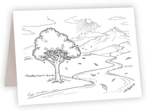 CCR24 - Tree of Life