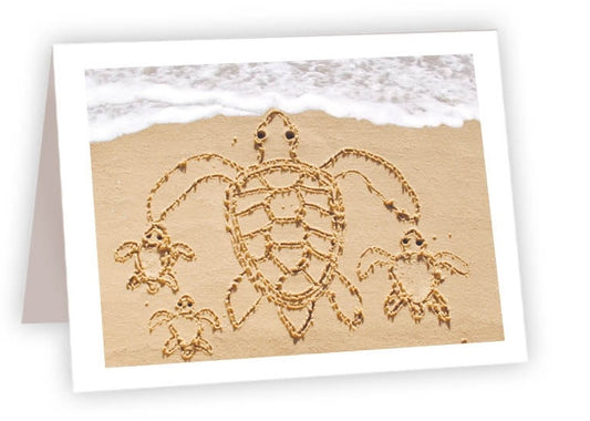 SW04 - Turtle Family