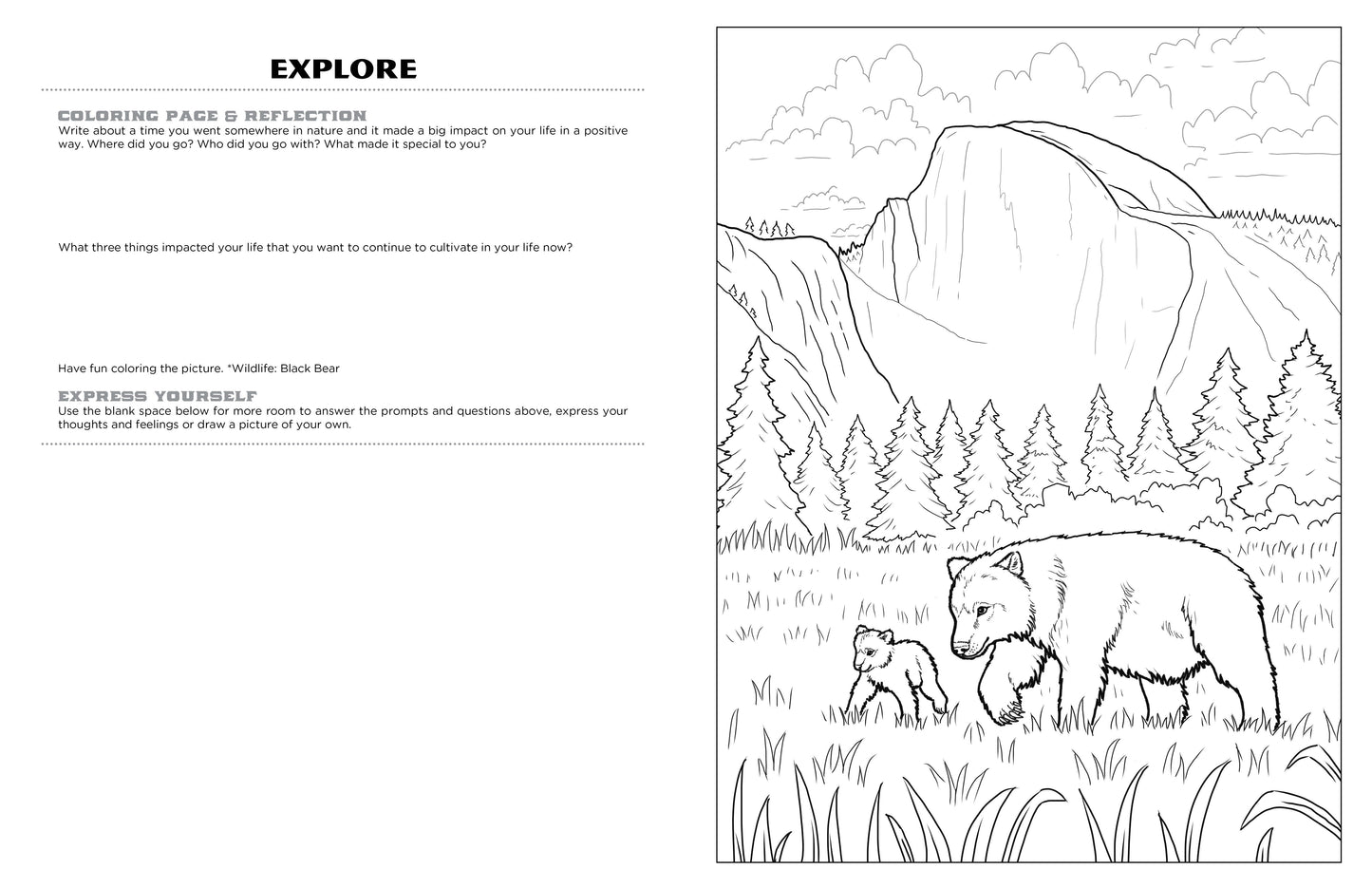 Discover Yosemite