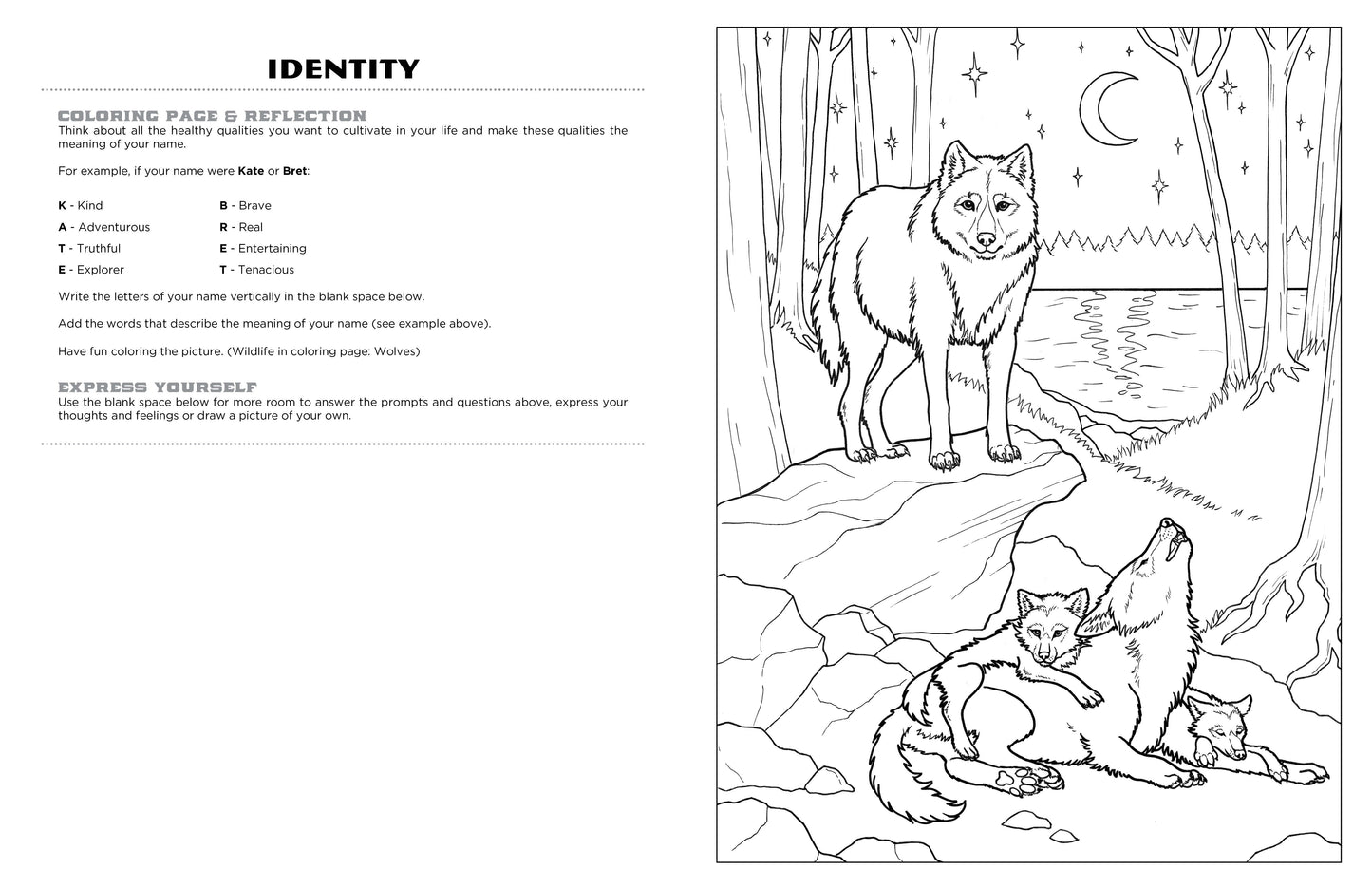 Discover Yellowstone