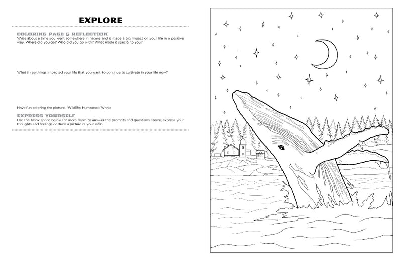 Discover Acadia<br/>expressive art<br/>coloring activity book