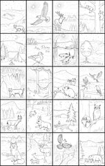 Discover Crater Lake<br/>expressive art<br/>coloring activity book