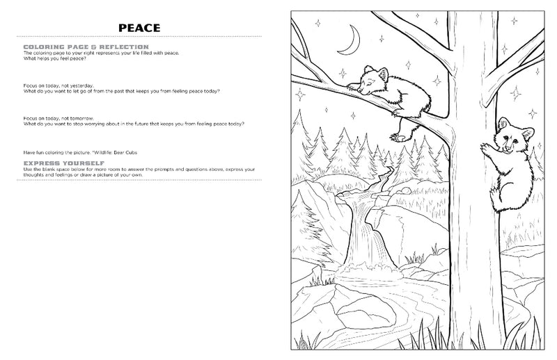 Discover Mt. Rainier<br/>expressive art<br/>coloring activity book