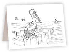 CCO_21<br/>Pelican