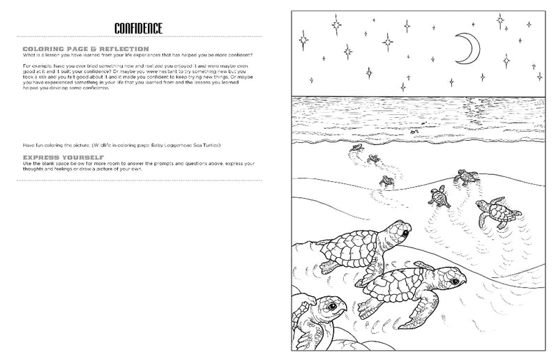 Discover at The Ocean<br/>expressive art<br/>coloring activity book
