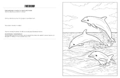 Discover at The Ocean<br/>expressive art<br/>coloring activity book
