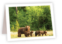 RN60<br/>Mama Bear with Cubs
