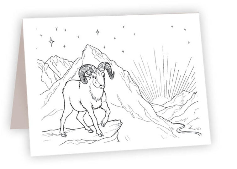 CCR04<br/>Bighorn Sheep