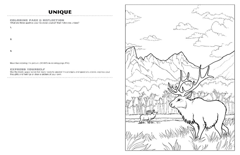 Discover Grand Teton<br/>expressive art<br/>coloring activity book