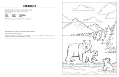 Discover Grand Teton<br/>expressive art<br/>coloring activity book