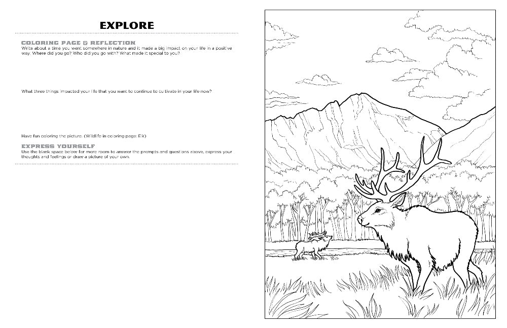 rocky mountain coloring pages