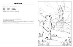 Discover Yellowstone<br/>expressive art<br/>coloring activity book